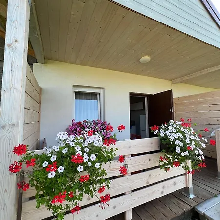 Lawendowa Gaska * Gąski